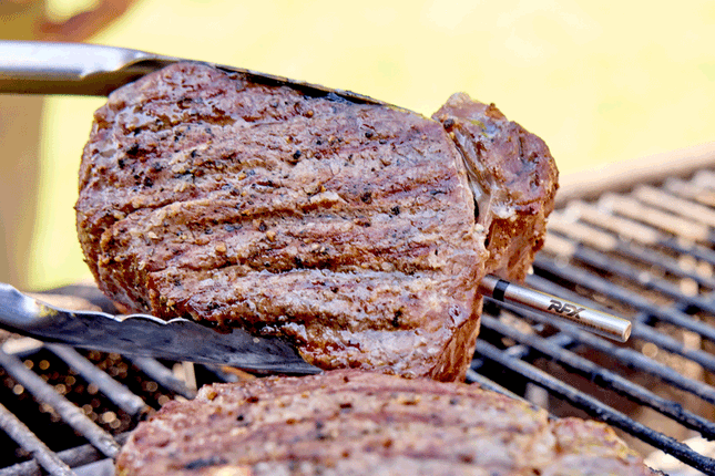 RFX Meat & Gateway Startpakket 1 probe