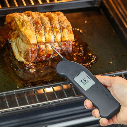 Thermapen ONE Charcoal Grey
